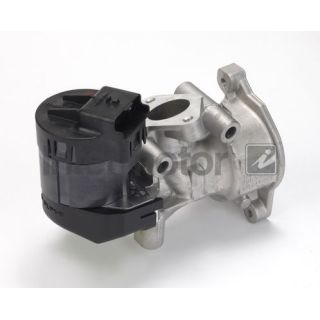 ERG vožtuvas INTERMOTOR 14329