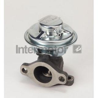 ERG vožtuvas INTERMOTOR 14354