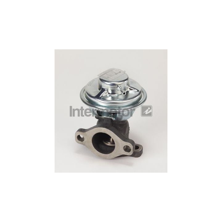 ERG vožtuvas INTERMOTOR 14354