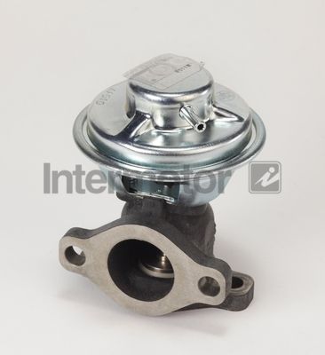 ERG vožtuvas INTERMOTOR 14354