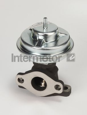 ERG vožtuvas INTERMOTOR 14368