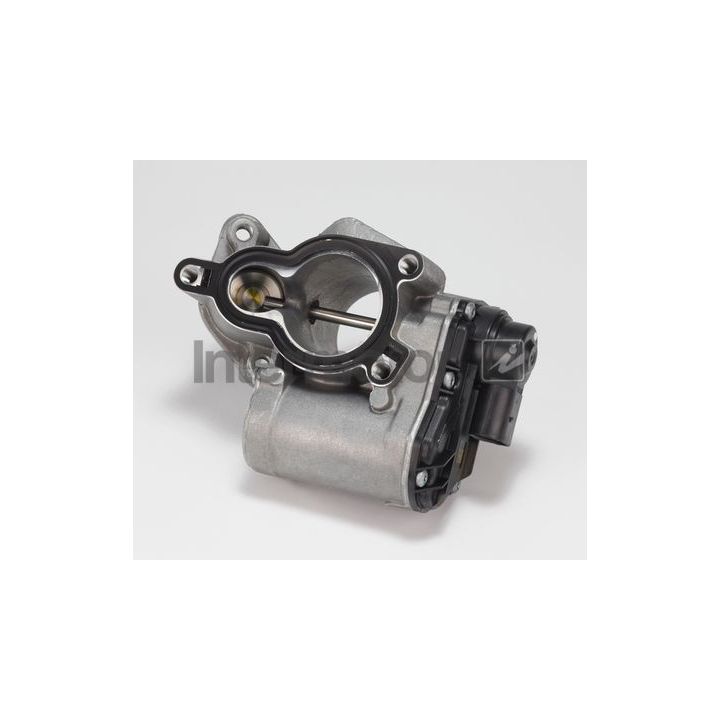 ERG vožtuvas INTERMOTOR 14385