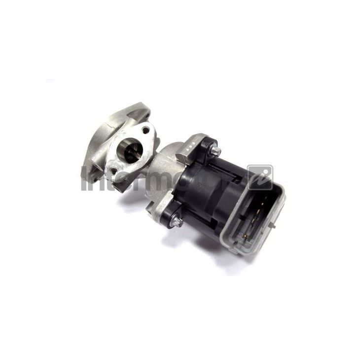 ERG vožtuvas INTERMOTOR 14421