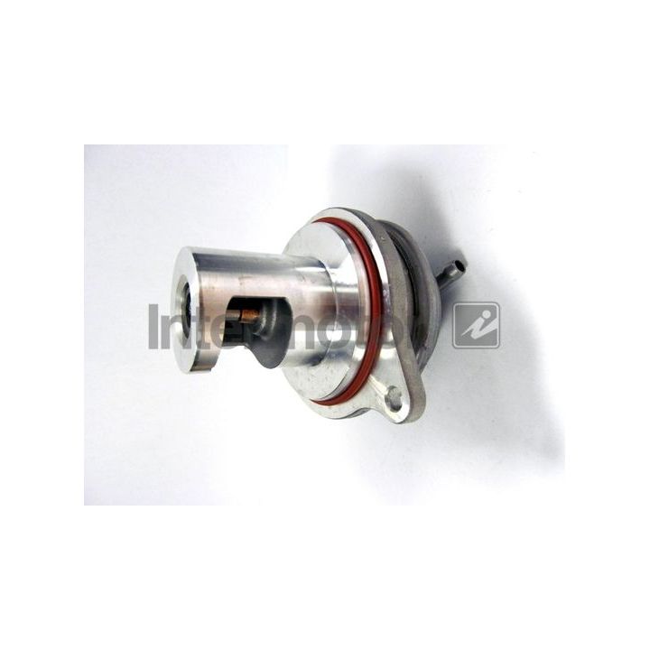 ERG vožtuvas INTERMOTOR 14471