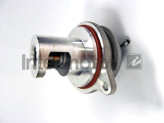 ERG vožtuvas INTERMOTOR 14471