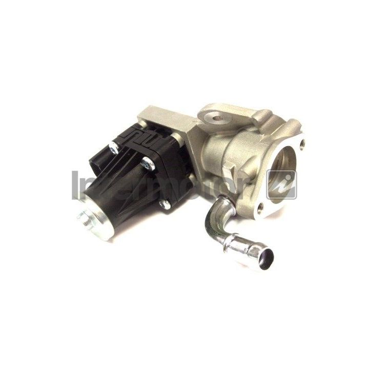 ERG vožtuvas INTERMOTOR 14479