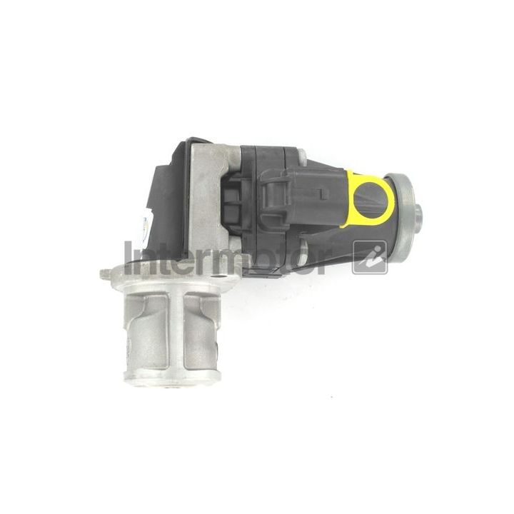 ERG vožtuvas INTERMOTOR 14485