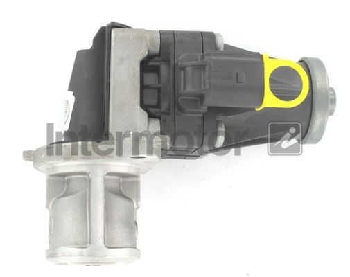 ERG vožtuvas INTERMOTOR 14485