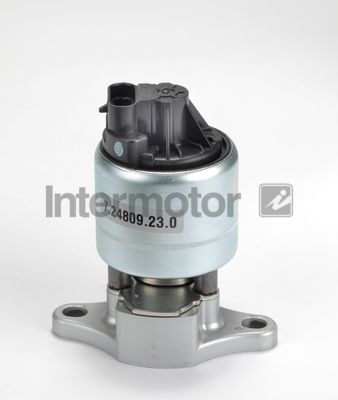 ERG vožtuvas INTERMOTOR 14989