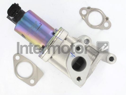 ERG vožtuvas INTERMOTOR 18061