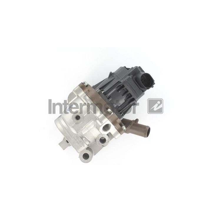 ERG vožtuvas INTERMOTOR 18064