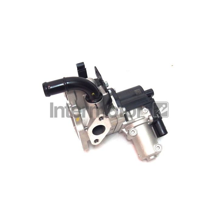 ERG vožtuvas INTERMOTOR 18080