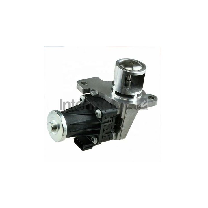 ERG vožtuvas INTERMOTOR 18099