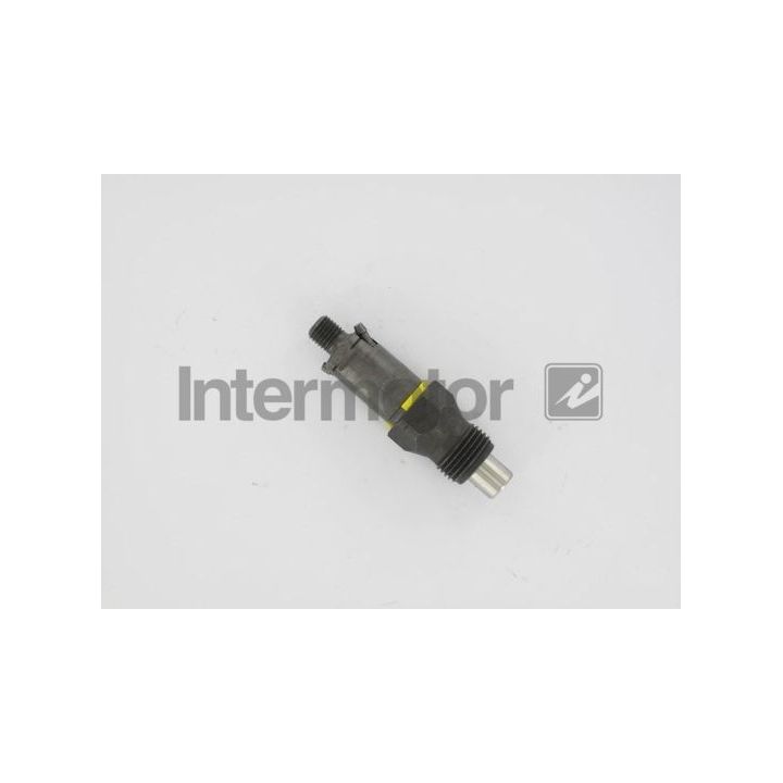 Purkštukas INTERMOTOR 87205