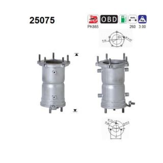 Katalizatoriaus keitiklis AS 25075