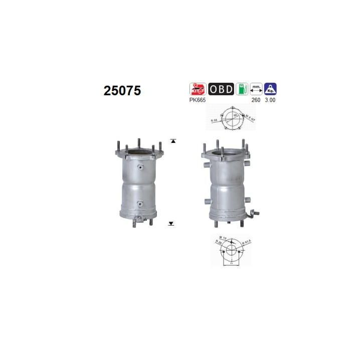 Katalizatoriaus keitiklis AS 25075