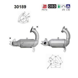 Katalizatoriaus keitiklis AS 30189