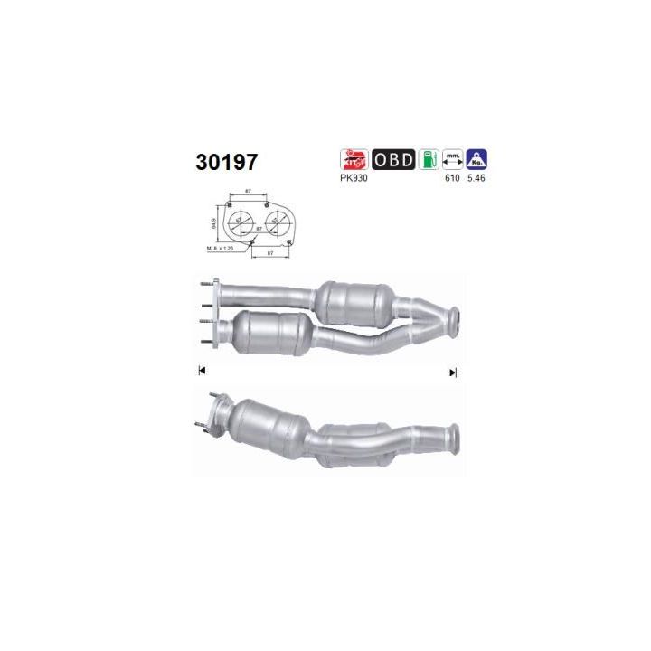 Katalizatoriaus keitiklis AS 30197