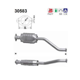 Katalizatoriaus keitiklis AS 30583