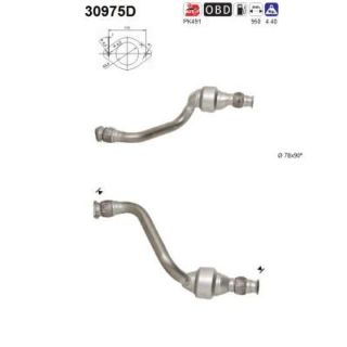 Katalizatoriaus keitiklis AS 30975D