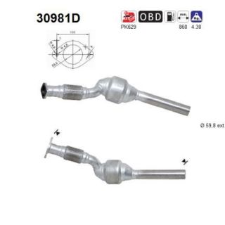Katalizatoriaus keitiklis AS 30981D