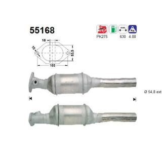 Katalizatoriaus keitiklis AS 55168