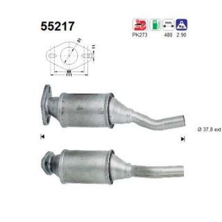 Katalizatoriaus keitiklis AS 55217