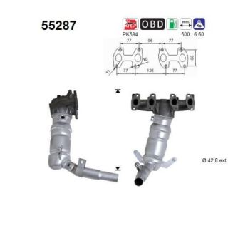 Katalizatoriaus keitiklis AS 55287