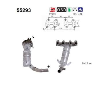 Katalizatoriaus keitiklis AS 55293