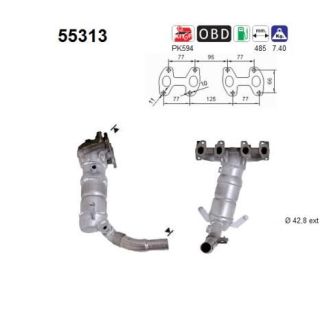 Katalizatoriaus keitiklis AS 55313