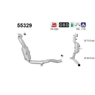 Katalizatoriaus keitiklis AS 55329