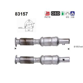 Katalizatoriaus keitiklis AS 83157