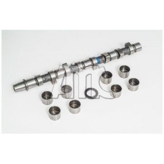 Skirstomojo veleno komplektas AMC 665819K