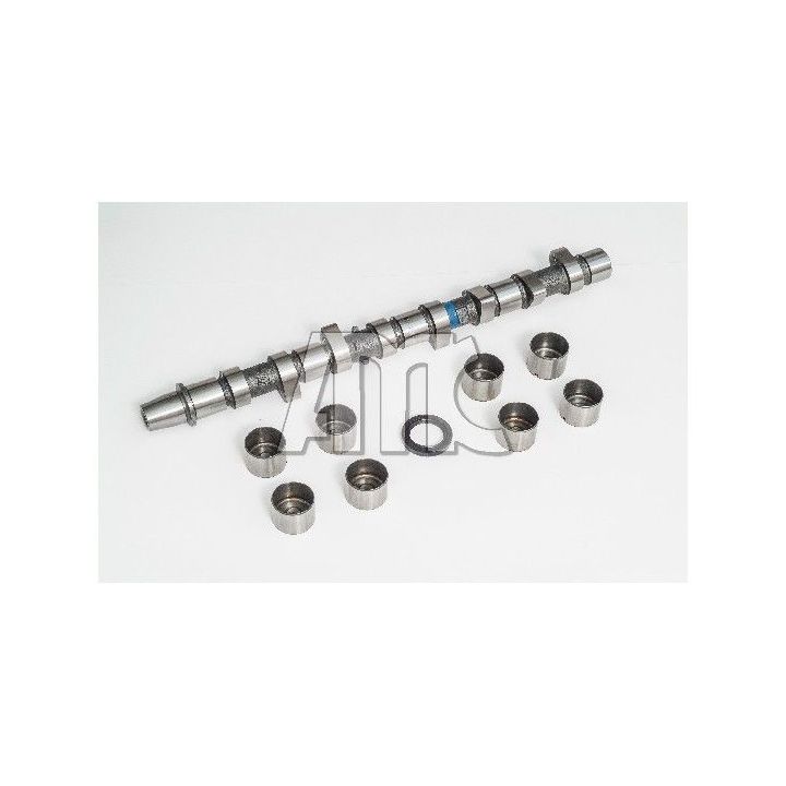 Skirstomojo veleno komplektas AMC 665819K