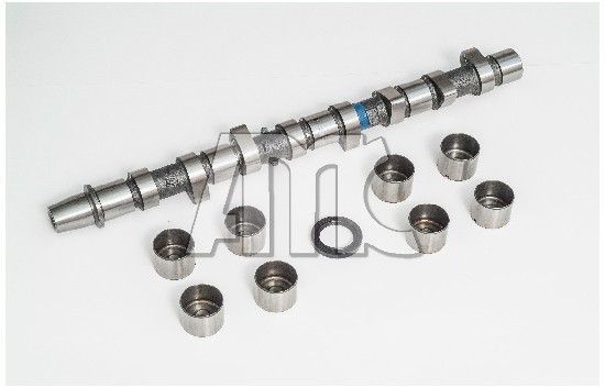 Skirstomojo veleno komplektas AMC 665819K