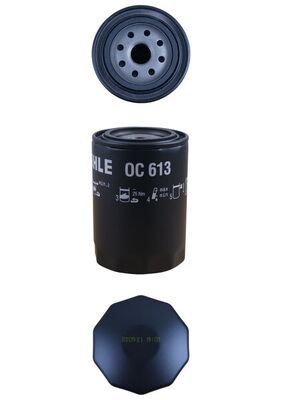 Alyvos filtras MAHLE OC 613