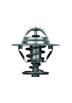 Termostatas, aušinimo skystis MAHLE TX 10 88D