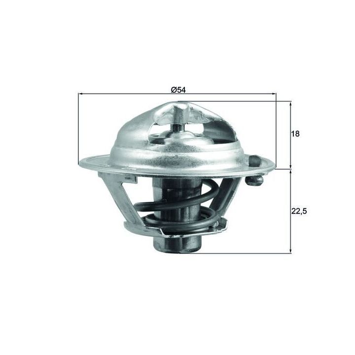 Termostatas, aušinimo skystis MAHLE TX 166 90D
