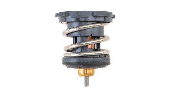 Termostatas, aušinimo skystis MAHLE TX 252 87