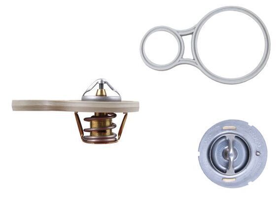 Termostatas, aušinimo skystis MAHLE TX 255 91