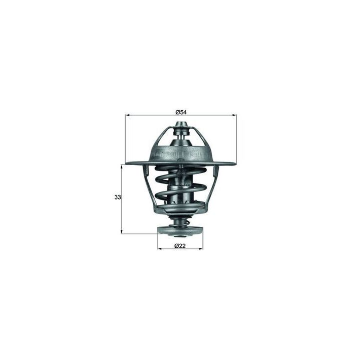 Termostatas, aušinimo skystis MAHLE TX 53 85D