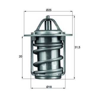 Termostatas, aušinimo skystis MAHLE TX 6 83