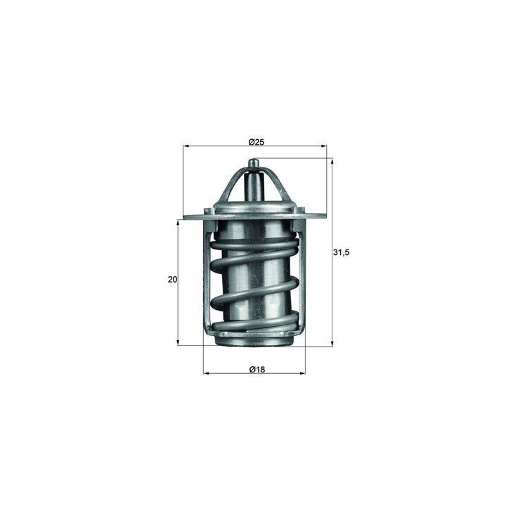 Termostatas, aušinimo skystis MAHLE TX 6 83
