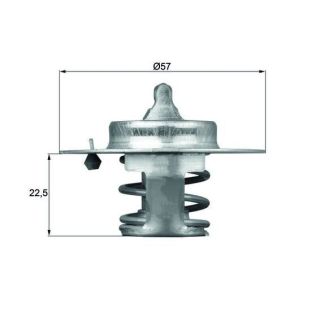 Termostatas, aušinimo skystis MAHLE TX 60 83D