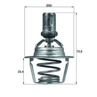 Termostatas, aušinimo skystis MAHLE TX 66 86D