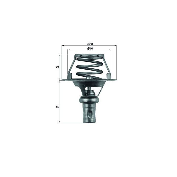 Termostatas, aušinimo skystis MAHLE TX 66 91D