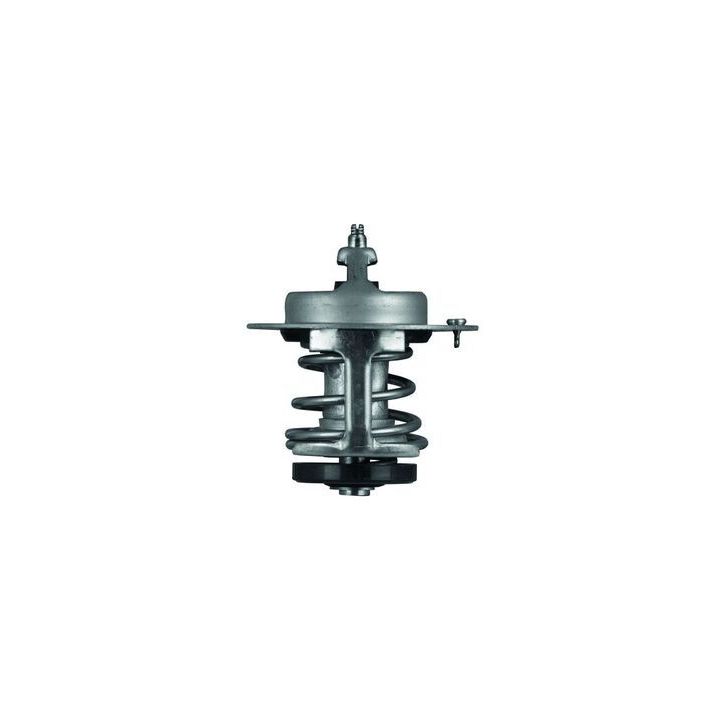 Termostatas, aušinimo skystis MAHLE TX 69 79