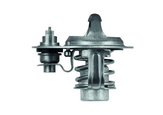 Termostatas, aušinimo skystis MAHLE TX 76 88D