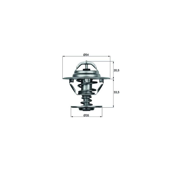 Termostatas, aušinimo skystis MAHLE TX 8 83D
