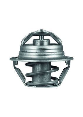 Termostatas, aušinimo skystis MAHLE TX 90 82D